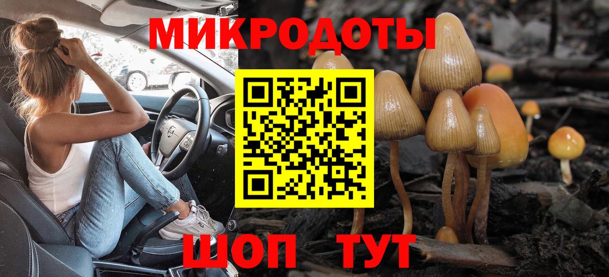Ревда  Псилоцибиновые грибы GOLDEN TEACHER  Вход с VPN 